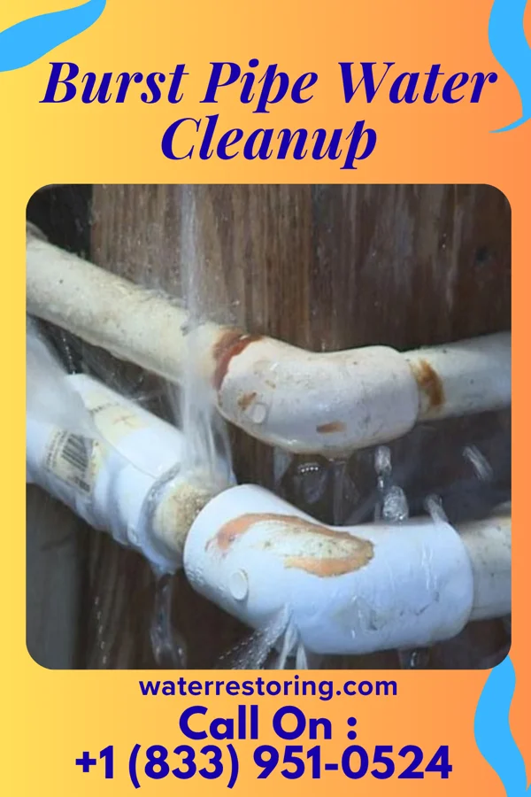 Burst Pipe Water Cleanup in Zebulon, GA