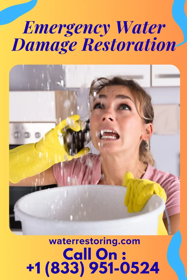 Emergency Water Damage Restoration in Zebulon, GA
