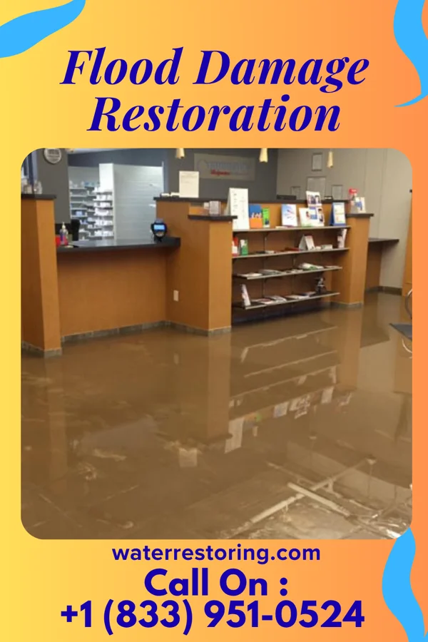 Flood Damage Restoration in Zebulon, GA