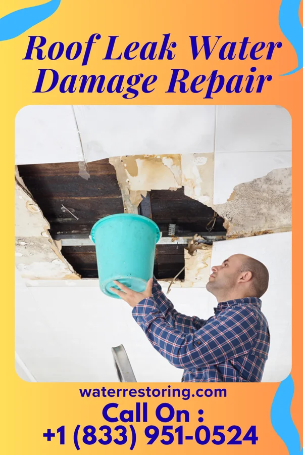 Roof Leak Water Damage Repair in Zebulon, GA